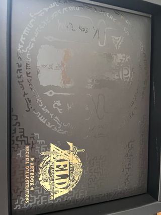 Zelda Tears of Kingdom - Coleccionista 