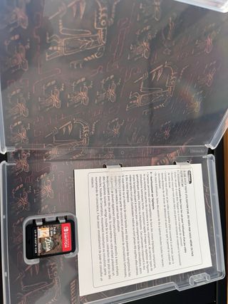 Zelda Tears of Kingdom - Coleccionista 