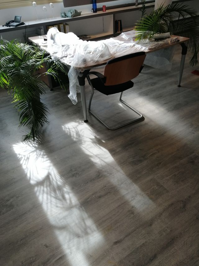 Carpintero montaje de tarima