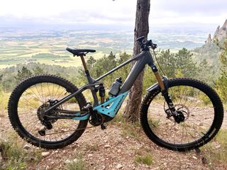 Bicicleta ORBEA Wild M Team