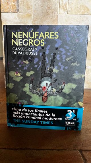 Nenúfares negros (Spanish Edition)