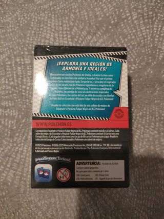  Pokémon Fulgor Negro
