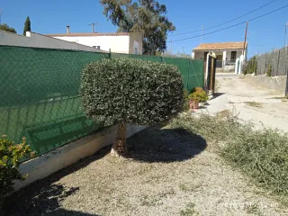 Jardinería en general podas en altura limpieza