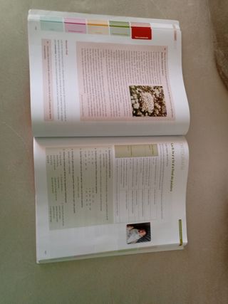 Reflejo 1. Lengua castellana y Literatura 1 ESO