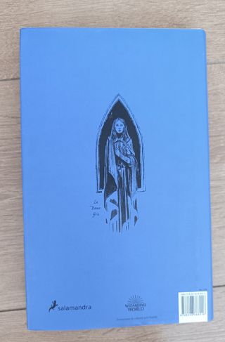 Harry Potter y la piedra filosofal (Ravenclaw)