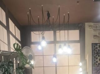 Araña vintage - 8 luces