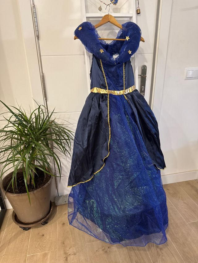 Disfraz Princesa Azul Estrellado