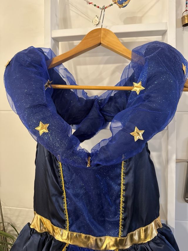 Disfraz Princesa Azul Estrellado