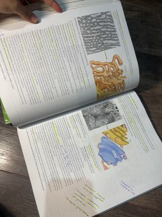 Lote de libros de 1º y 2º de bachillerato 
