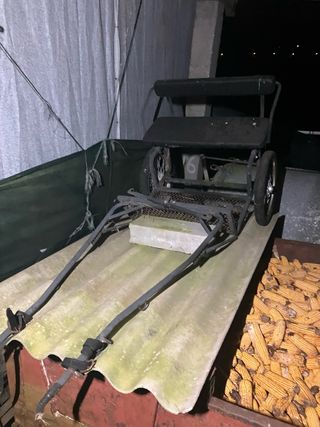 Carrillo poni antiguo