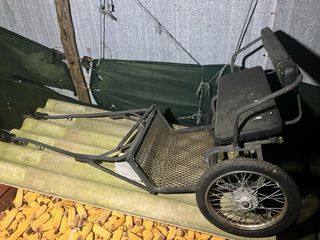 Carrillo poni antiguo