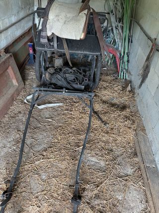 Carrillo poni antiguo