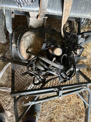 Carrillo poni antiguo