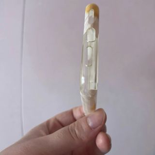 Funda iPhone 11 transparente margaritas