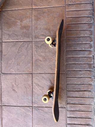 Skate usado