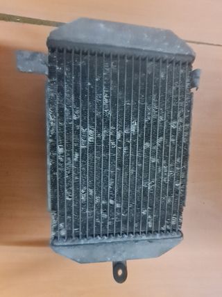 Radiador Suzuki Burgman 400 usado