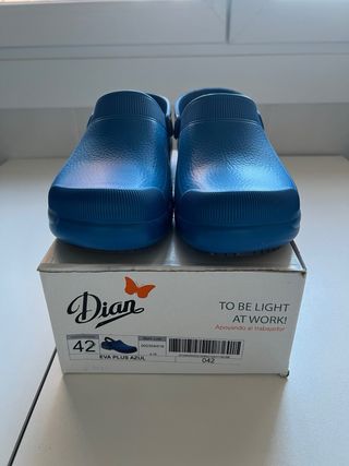 Zuecos Dian azules
