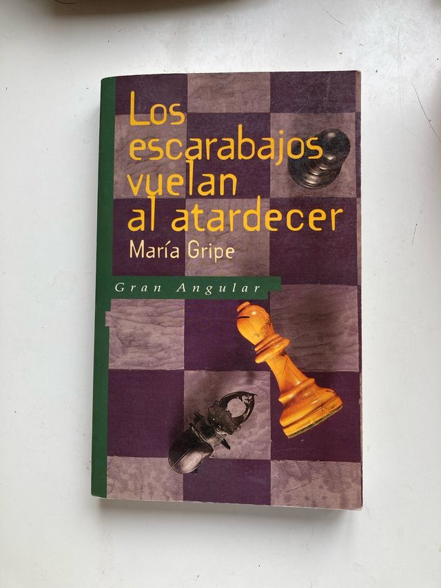 Los Escarabajos Vuelan Al Atardecer