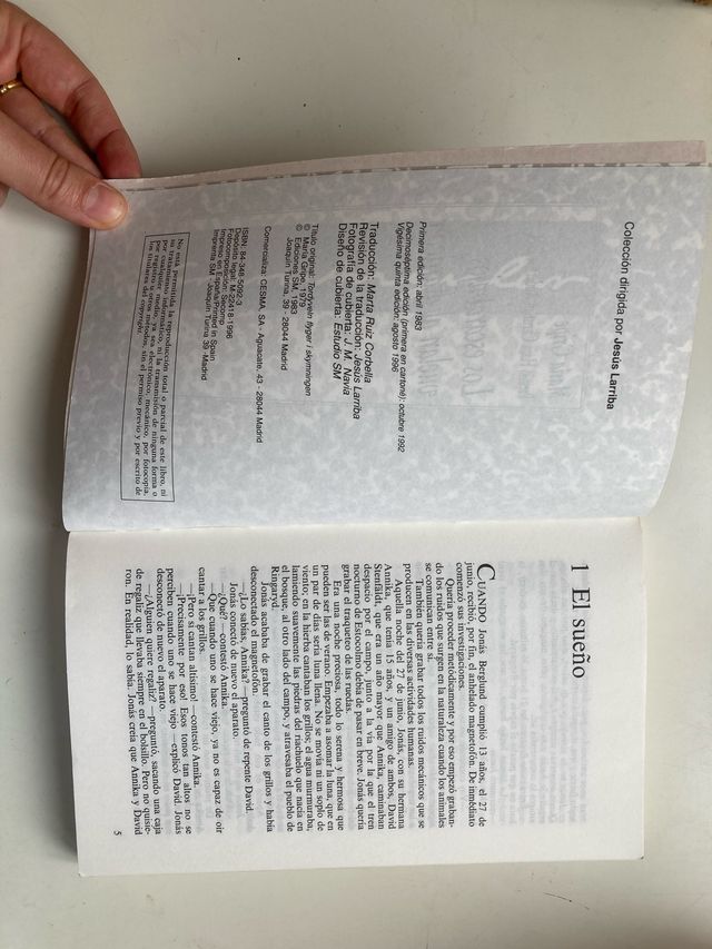 Los Escarabajos Vuelan Al Atardecer