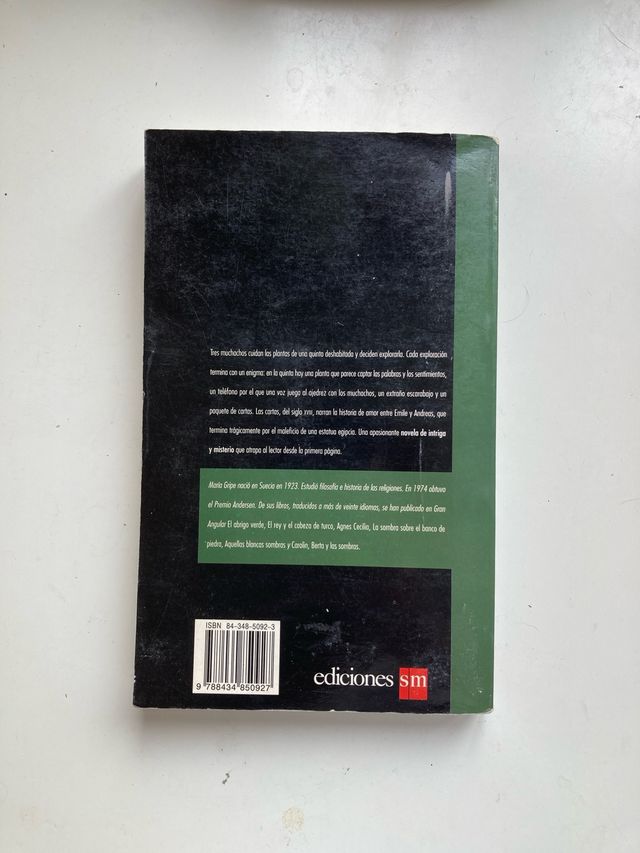 Los Escarabajos Vuelan Al Atardecer