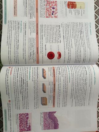 Biología, Geología y CC. Ambientales 1º Bachill...