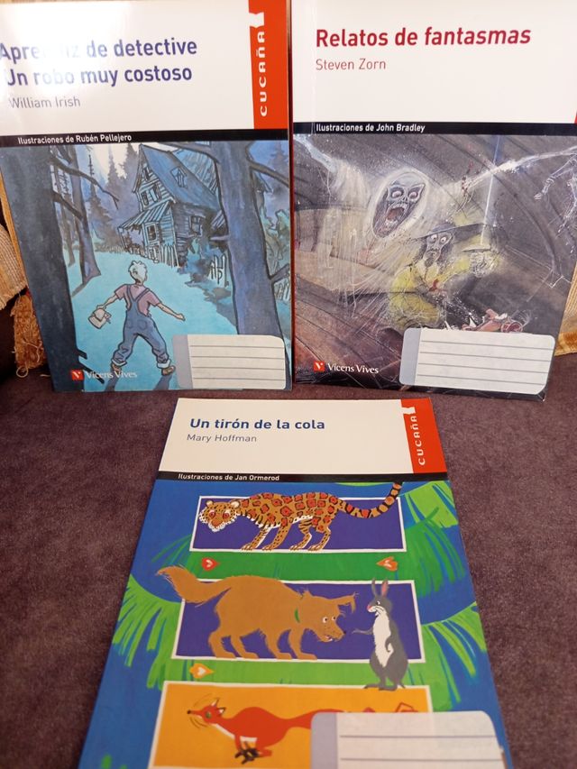 Vicens Vives Cucaña lote 