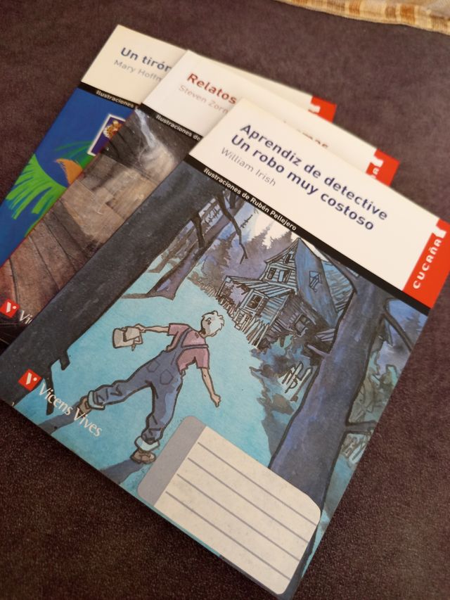 Vicens Vives Cucaña lote