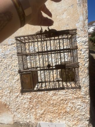 Jaula pajaros - marrón y blanca