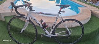 Bicicleta Focus Variado carretera