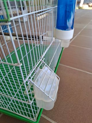 Jaula pájaros - Verde y Blanca