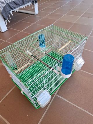 Jaula pájaros - Verde y Blanca