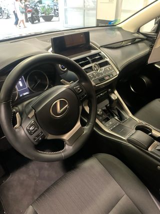 Lexus NX 2019