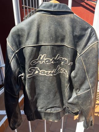 Cazadora Harley Davidson M