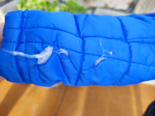 Cazadora acolchada azul - Talla XS