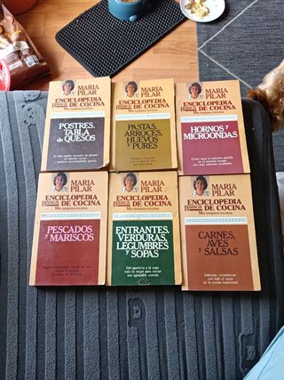 Carnes, Aves y Salsas : Sabrosas, Económicas co...