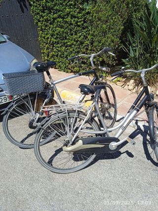 Bicicletas holandesas antiguas
