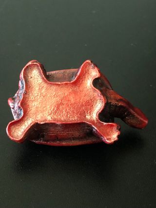 Tartaruga rossa portafortuna