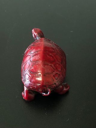Tartaruga rossa portafortuna