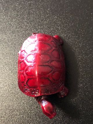 Tartaruga rossa portafortuna