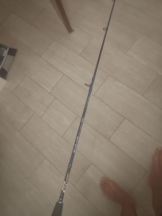 Caña Pesca Blue Line 180L