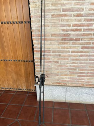 Canna da pesca alla carpa + mulinello