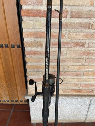 Canna da pesca alla carpa + mulinello