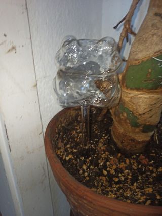 Riego por goteo cristal Rana