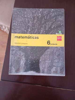 MATEMÁTICAS 6P