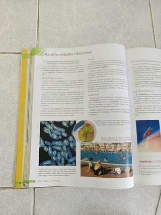 Bioloxía e Xeoloxía - 3° ESO