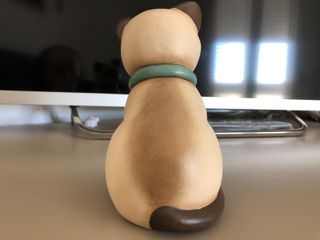 gatto siamese Thun FP