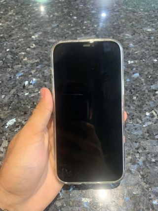iPhone 12 Pro Max 512GB - Impecable