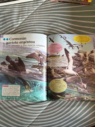 Animales del mar (Spanish Edition)