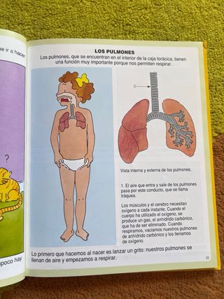 Diccionario por imagenes del cuerpo humano
