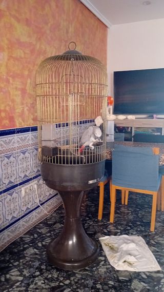 Jaula pajaros grande dorada